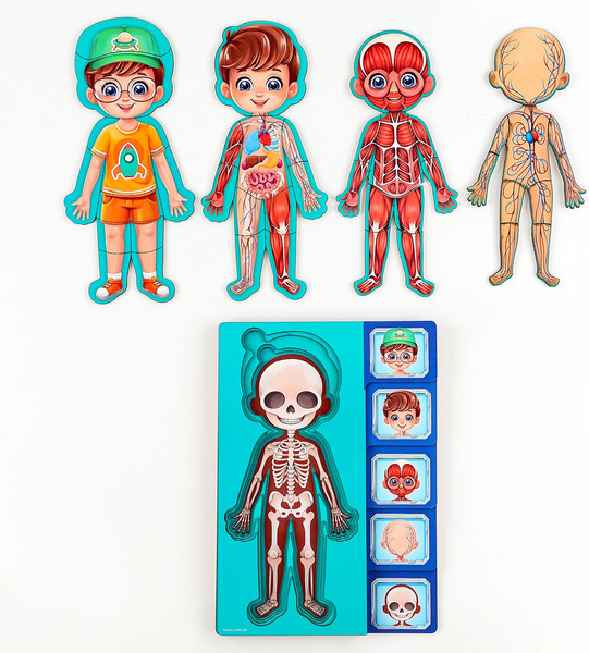 Изображение товара Развивающий игровой набор Лесная мастерская Тело человека / 10326645