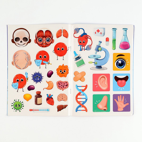 Изображение товара Развивающий игровой набор Лесная мастерская Тело человека / 10326645