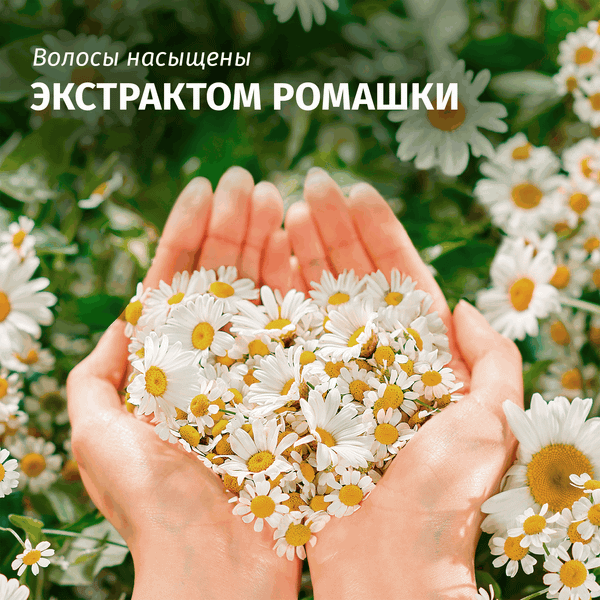 Изображение товара Шампунь для волос Herbal Essences Ромашка (350мл)