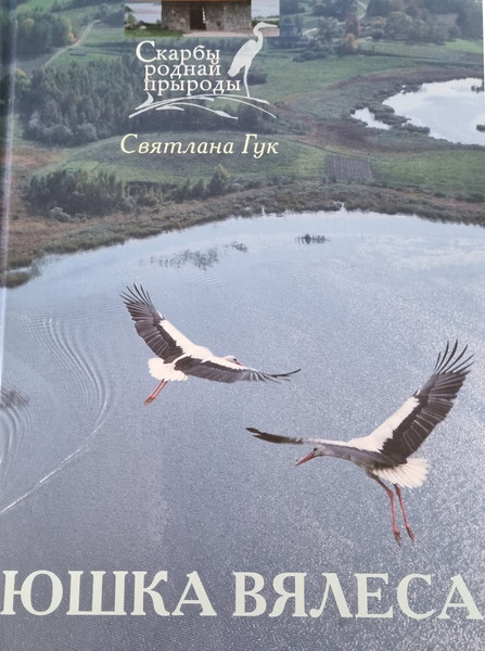 Изображение товара Книга Мастацкая літаратура Юшка Вясела. Аповесць, твердая обложка (Гук Святлана)