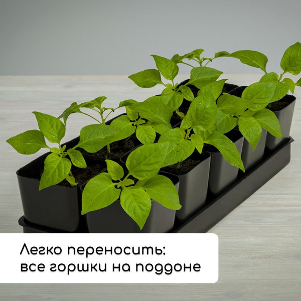 Изображение товара Набор горшков для рассады GREENGO 1839721 (12шт, микс)