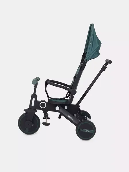 Изображение товара Трехколесный велосипед с ручкой Rant Birdie RB202 (оливковый)