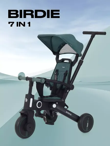 Изображение товара Трехколесный велосипед с ручкой Rant Birdie RB202 (оливковый)