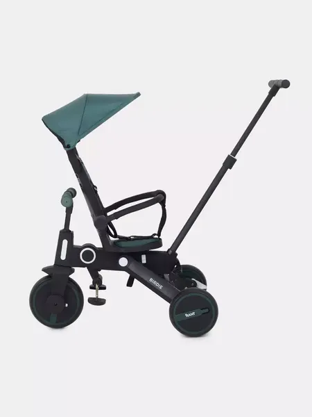 Изображение товара Трехколесный велосипед с ручкой Rant Birdie RB202 (оливковый)