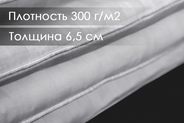 Изображение товара Одеяло Реноме Евро Сатин 14/228 200x220 (бамбук, 300)