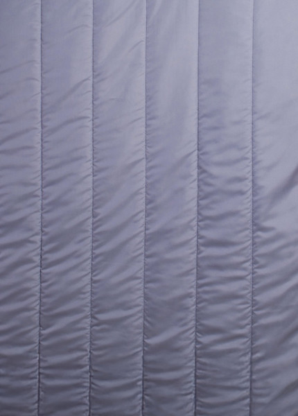 Изображение товара Одеяло Реноме 2сп Deluxe Swan 150 Микрофибра 42/386 172x205