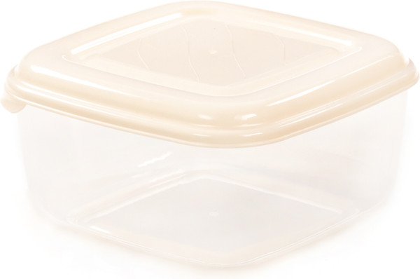 Изображение товара Контейнер Полесье №38 / 08869 (прозрачный/кремовый)
