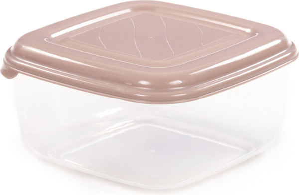 Изображение товара Контейнер Полесье №38 / 08852 (прозрачный/темно-кремовый)