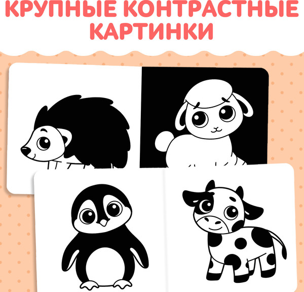 Изображение товара Развивающая книга Буква-ленд Черно-белые картинки / 10402493