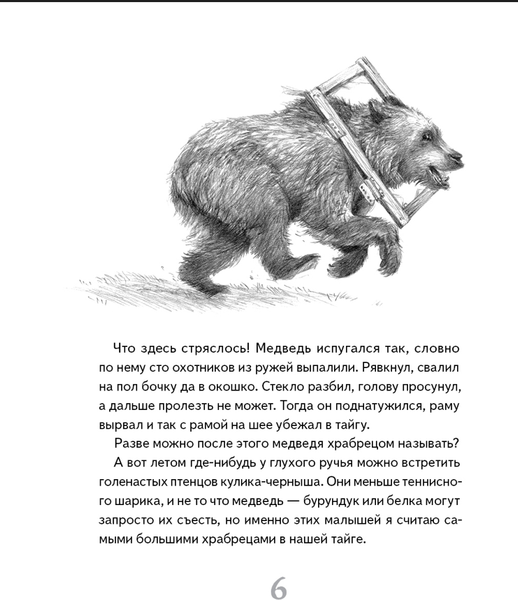 Изображение товара Художественная книга КомпасГид Иду по тайге (Олефир Станислав 9785000839805)