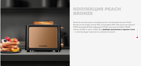 Изображение товара Тостер Redmond T901 (черный/бронзовый)