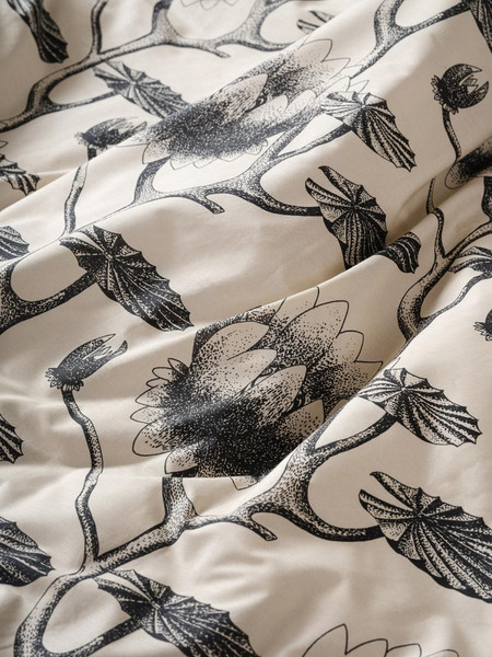 Изображение товара Комплект постельного белья Windslow Аврора Евро 50x70 / 20119-1+71141-10