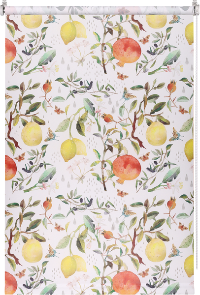 Изображение товара Рулонная штора Franc Gardiner Print Фрукты 55x160 / 9403217486 (мультиколор)