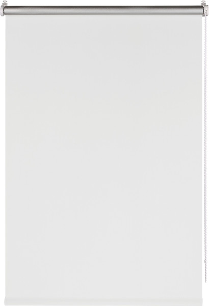 Изображение товара Рулонная штора Franc Gardiner Blackout Silver 110x160 / 7794472 (белый)