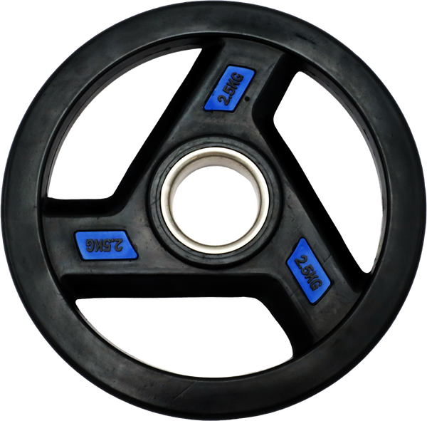 Изображение товара Диск для штанги UNIX Fit Pro / DG2_5RUBPBL (2.5кг, голубой)