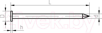 Изображение товара Гвоздь строительный ЕКТ 2.5x50 / VZ010124 (5кг, оцинкованный)