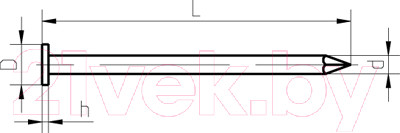 Изображение товара Гвоздь строительный ЕКТ 3.0x80 / VZ010120 (5кг, оцинкованный)