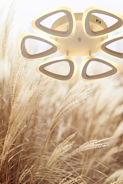 Изображение товара Люстра De City Мадлен 424013006