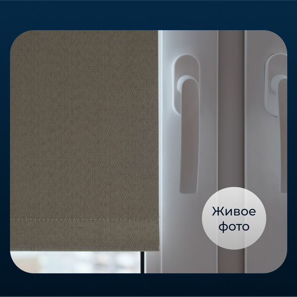 Изображение товара Рулонная штора Franc Gardiner Blackout Dublin 85x160 / 9403221195 (бежевый)