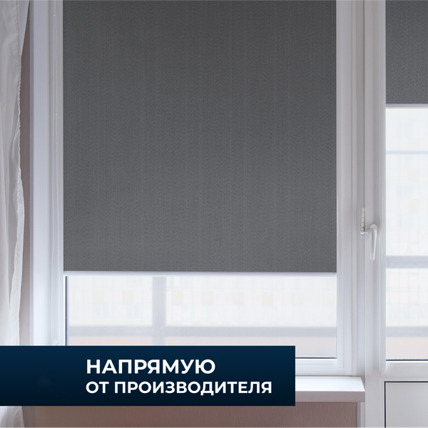 Изображение товара Рулонная штора Franc Gardiner Blackout Dublin 45x160 / 8317826 (серый)