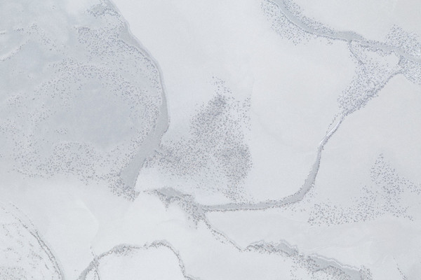 Изображение товара Виниловые обои Палитра Euphoria 72327-14 FM