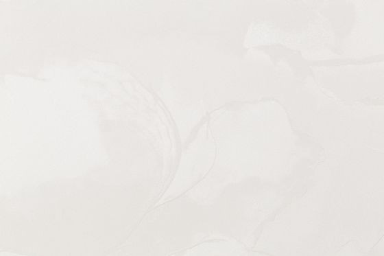 Изображение товара Виниловые обои Палитра Euphoria-фон 72328-12FM