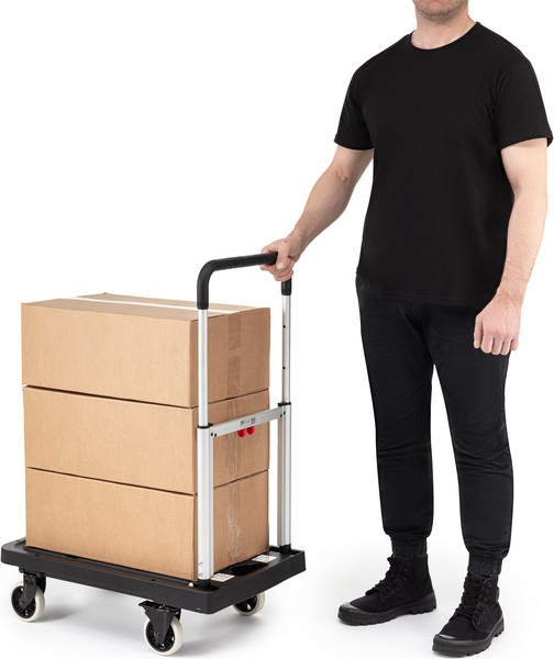 Изображение товара Тележка платформенная Стелла-техник FF-ST