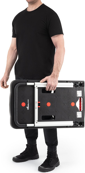 Изображение товара Тележка платформенная Стелла-техник FF-ST