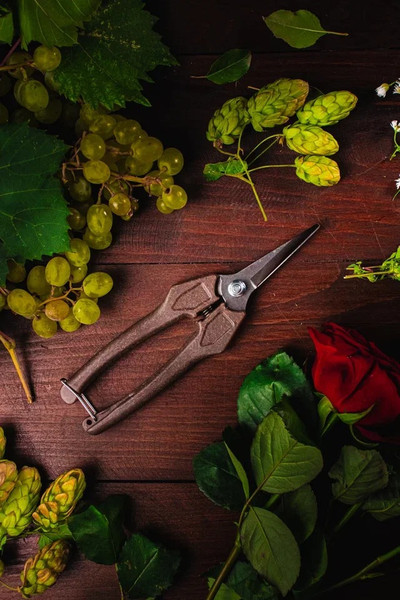 Изображение товара Садовые ножницы механические Obrigado 190мм D6мм / 2460