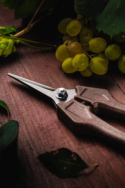 Изображение товара Садовые ножницы механические Obrigado 190мм D6мм / 2460