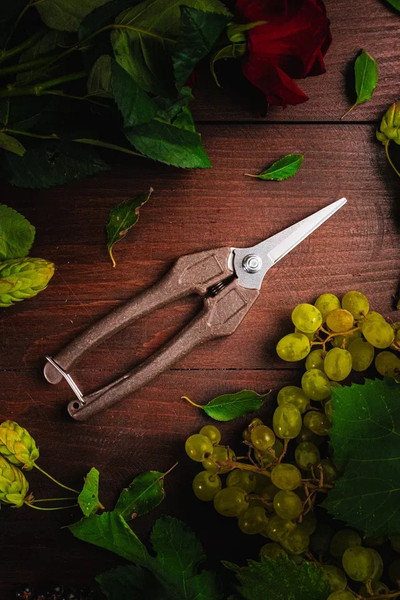 Изображение товара Садовые ножницы механические Obrigado 190мм D6мм / 2460