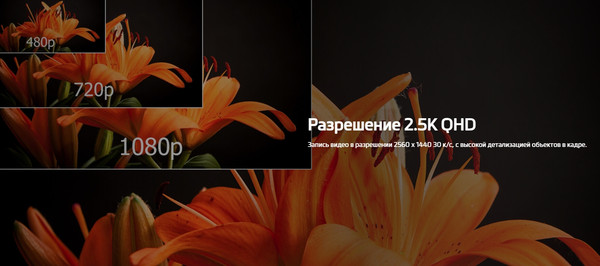Изображение товара Автомобильный видеорегистратор Mio MiVue J30 (черный)