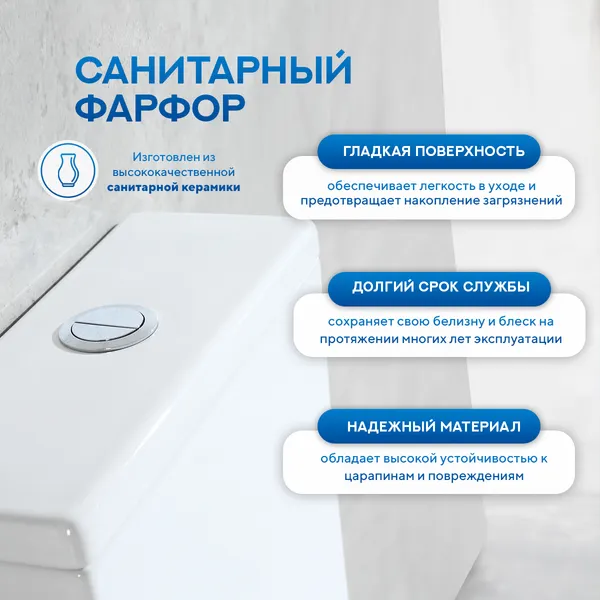 Изображение товара Унитаз напольный Amore di Mare M608 (моноблок)