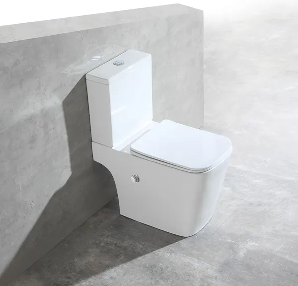 Изображение товара Унитаз напольный Amore di Mare N900X Tronto Bidet (с функцией биде)