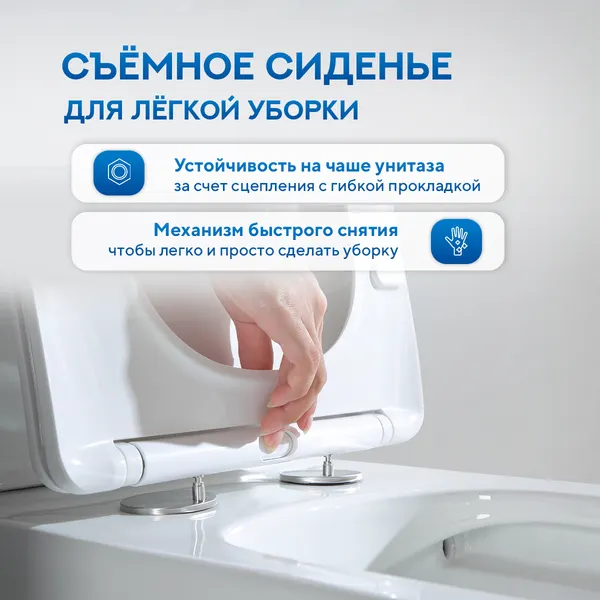 Изображение товара Унитаз напольный Amore di Mare N900X Tronto Bidet (с функцией биде)