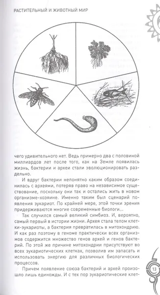 Изображение товара Нехудожественная книга Вече Растительный и животный мир. Сотрудничество и взаимопомощь (Бернацкий А. 9785448420528)