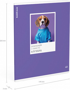 Изображение товара Тетрадь предметная Erich Krause DogTone Алгебра / 63349 (48л, клетка)