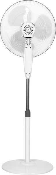 Изображение товара Вентилятор Ballu BFF-815 W