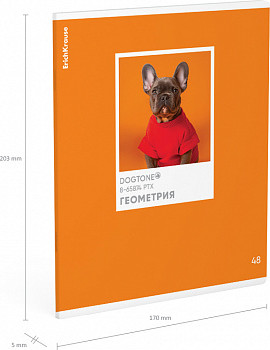 Изображение товара Тетрадь предметная Erich Krause DogTone Геометрия / 63350 (48л, клетка)