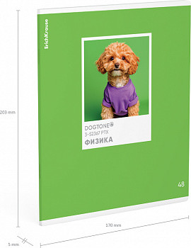 Изображение товара Тетрадь предметная Erich Krause DogTone Физика / 63351 (48л, клетка)