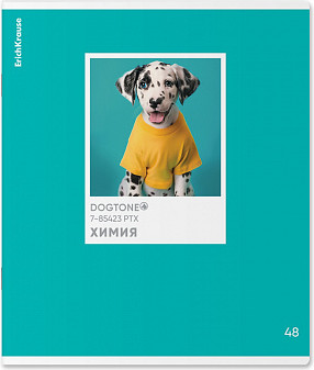 Изображение товара Тетрадь предметная Erich Krause DogTone Химия / 63352 (48л, клетка)