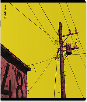 Изображение товара Тетрадь Erich Krause Flash / 63295 (48л, клетка)