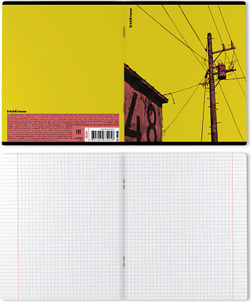 Изображение товара Тетрадь Erich Krause Flash / 63295 (48л, клетка)