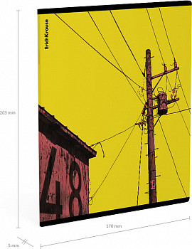 Изображение товара Тетрадь Erich Krause Flash / 63295 (48л, клетка)