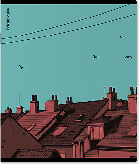 Изображение товара Тетрадь Erich Krause Flash / 63295 (48л, клетка)