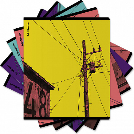 Изображение товара Тетрадь Erich Krause Flash / 63295 (48л, клетка)