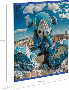 Изображение товара Тетрадь Erich Krause Roof Toy / 63294 (48л, клетка)