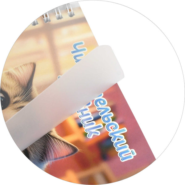 Изображение товара Дневник Феникс+ Читательский. Пушистый книголюб / 70538