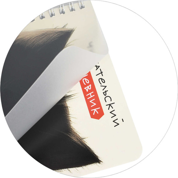 Изображение товара Дневник Феникс+ Читательский. Сердитый чтец / 70539