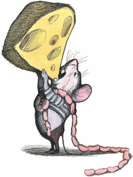 Изображение товара Книга СЗКЭО Басни (Толстой Лев)